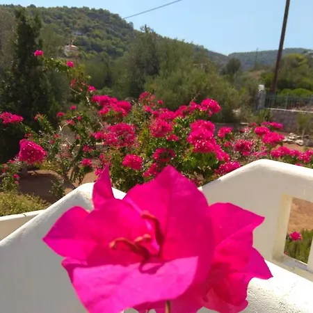 Prázdninový dům Catherine *